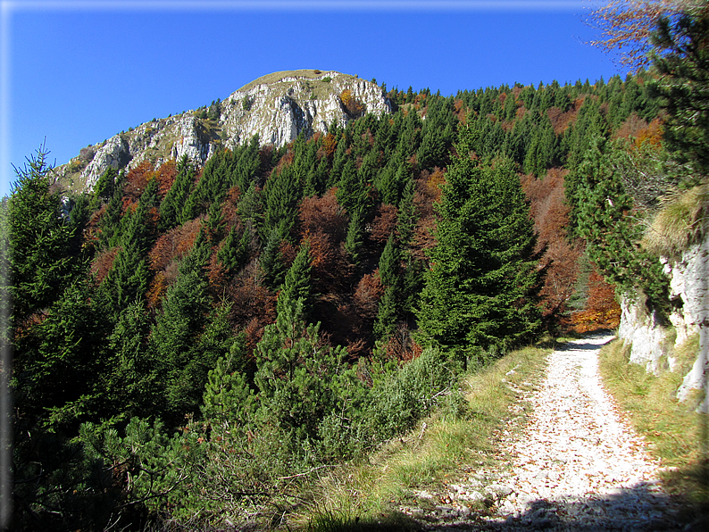 foto Mulatiera del Covolo